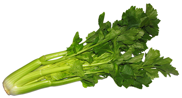 C for Celery Juicing